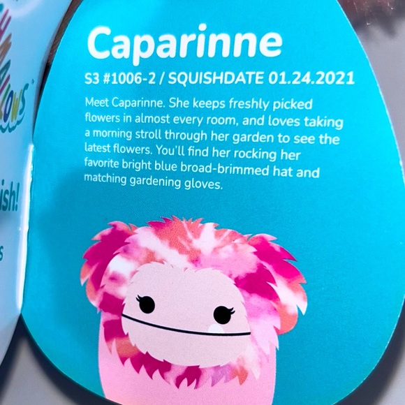 CAPARINNE 🐾 Pink Big Foot Squishmallow Clip Original Squishmallows ☆》NWT《☆ - Picture 4 of 6